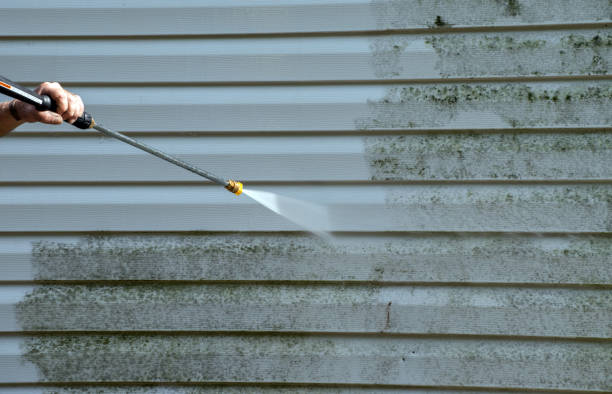 Boat and Dock Cleaning in Farmville, VA